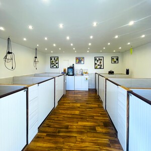 Kennel francia bulldog- 1