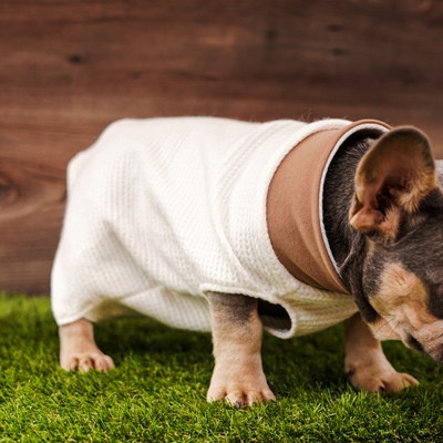 Frienchy Friends Design Kutyaruha !